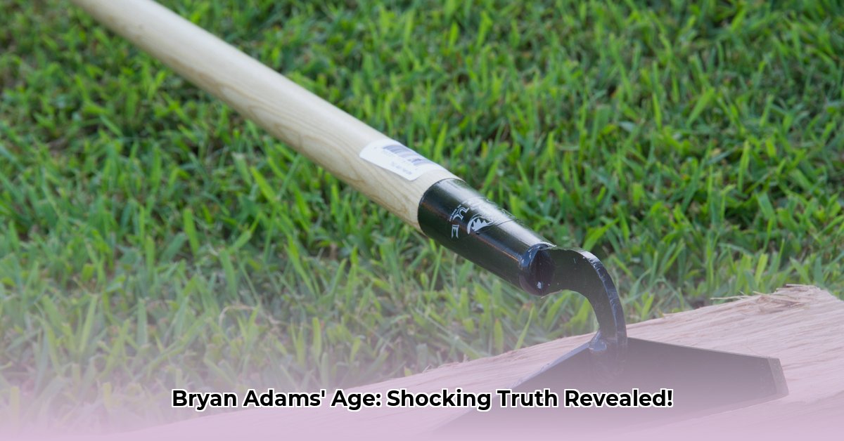 hoe-oud-is-bryan-adams